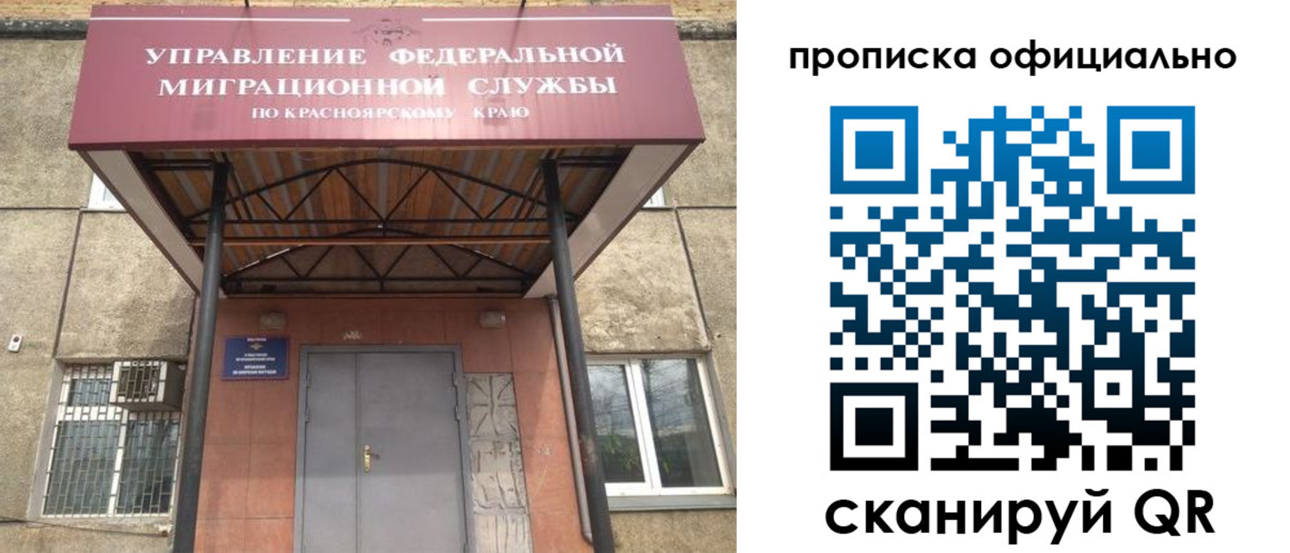 прописка поиск в Сельцо